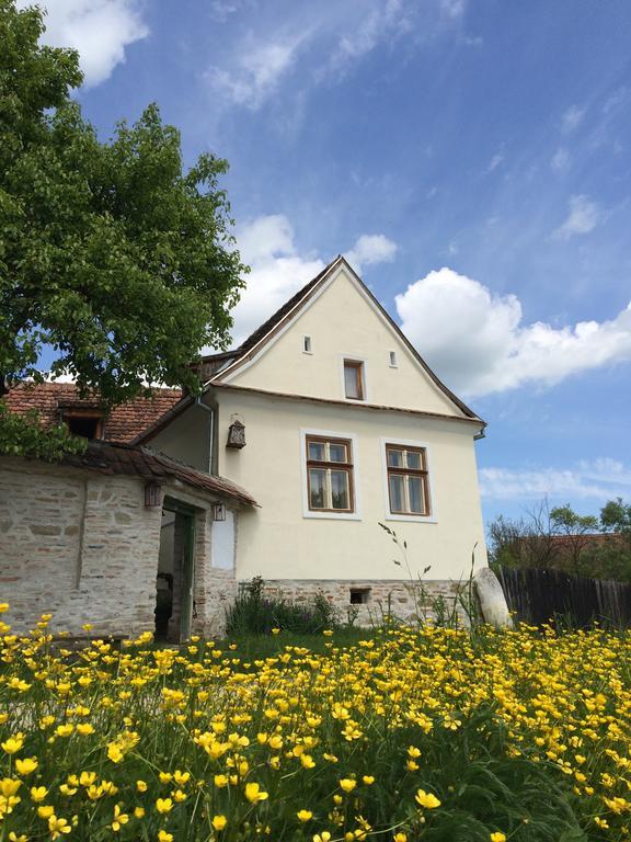 Pensjonat Dominic Boutique - Casa Mare Cloasterf Zewnętrze zdjęcie