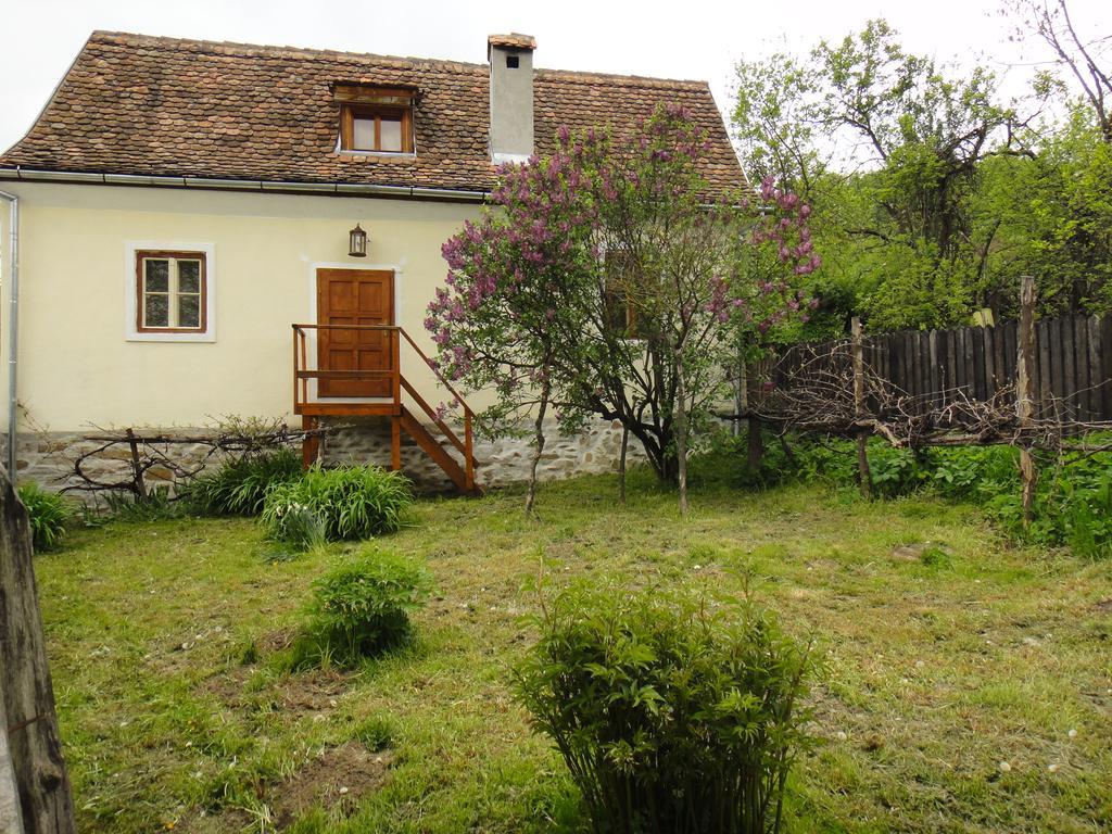 Pensjonat Dominic Boutique - Casa Mare Cloasterf Zewnętrze zdjęcie