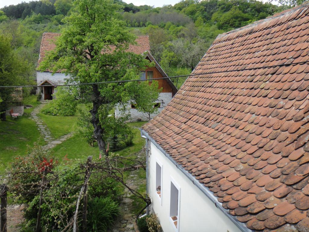 Pensjonat Dominic Boutique - Casa Mare Cloasterf Zewnętrze zdjęcie